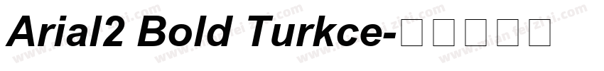 Arial2 Bold Turkce字体转换